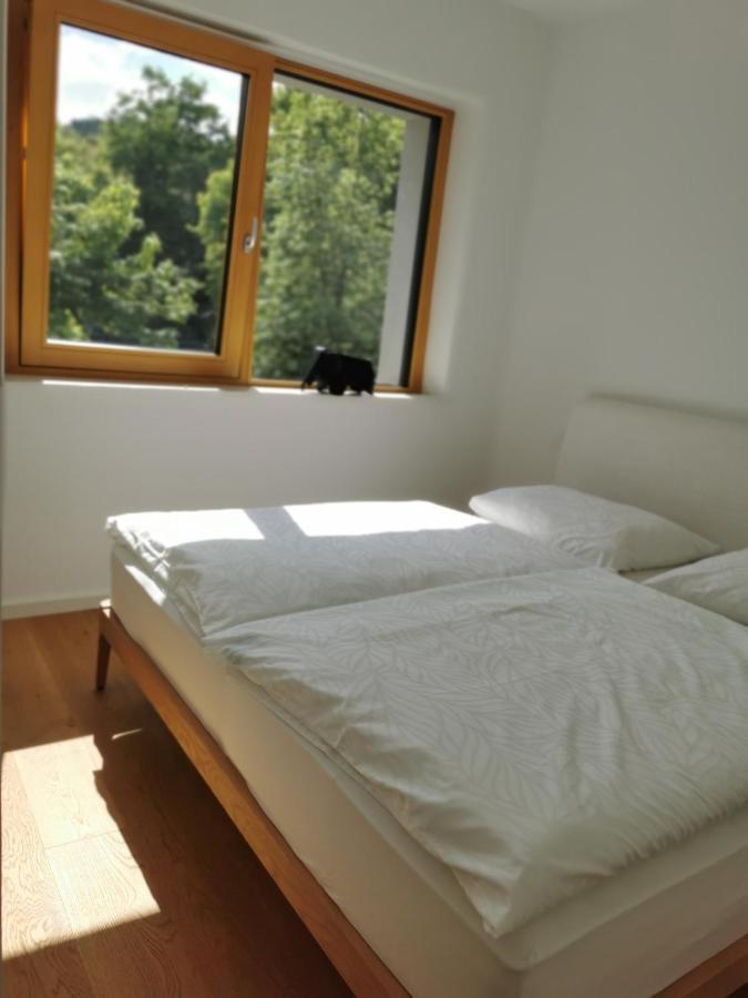Apartment 191 With Balcony Ljubljana Ngoại thất bức ảnh